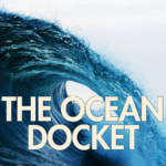Why today’s International Court of Justice (ICJ) Opinion on Climate Change matters for Our Oceans